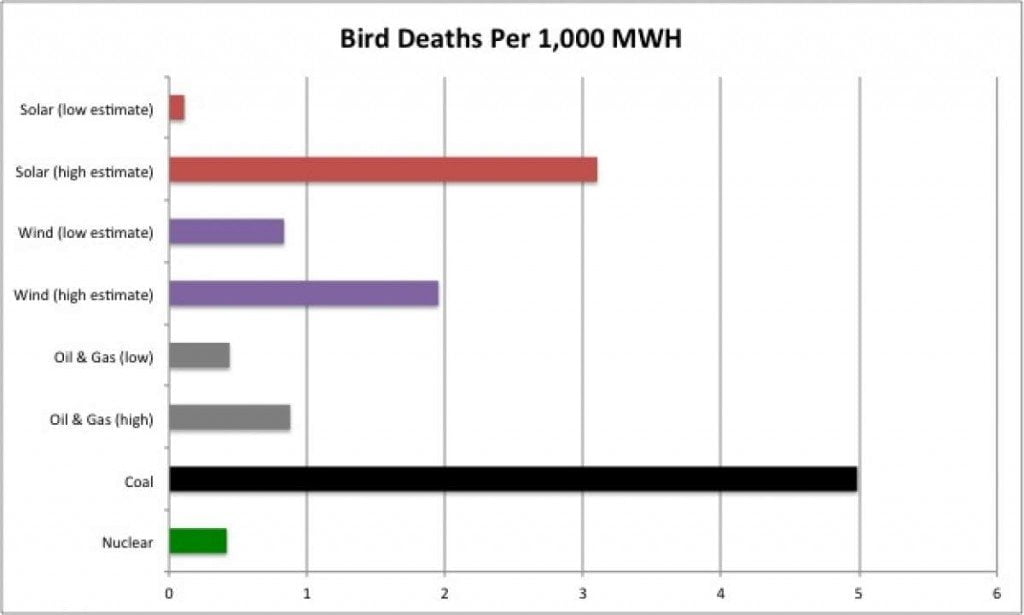 bird-deaths-per-1000mwh